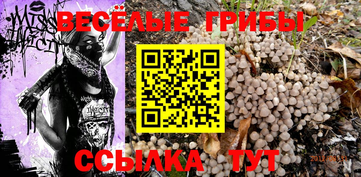 Галлюциногенные грибы Psilocybine cubensis  Вход с VPN  Урюпинск 