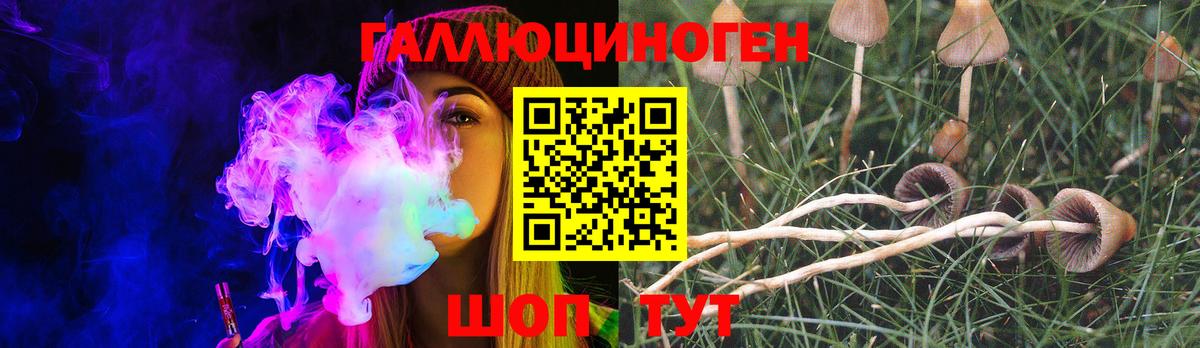 Псилоцибиновые грибы MAGIC MUSHROOMS Урюпинск